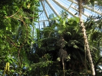 Botanische tuin