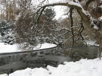 Besneeuwd Kopenhagen (Frederiksberg park)