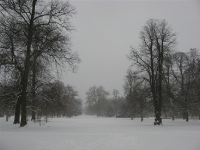 Besneeuwd Kopenhagen (Frederiksberg park)