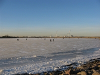 Amager Lagune