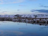 20130204_0780_wallpaper