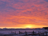20130206_0970_wallpaper