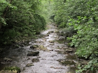 20130810_2337_wallpaper