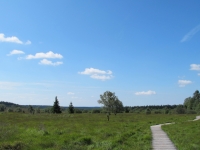 20130811_2365_wallpaper