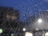 20131116_3189_wallpaper
