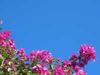 20131129_3945_wallpaper