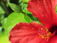 20131129_3946_wallpaper