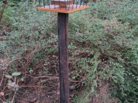 Bird feeder 1