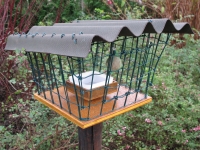 Bird feeder 3