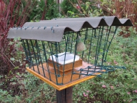 Bird feeder 4