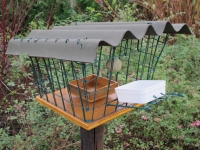 Bird feeder 5