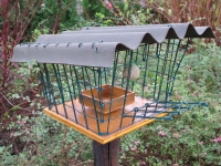 Bird feeder 6