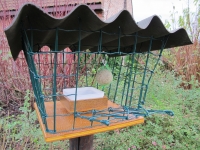 Bird feeder 2